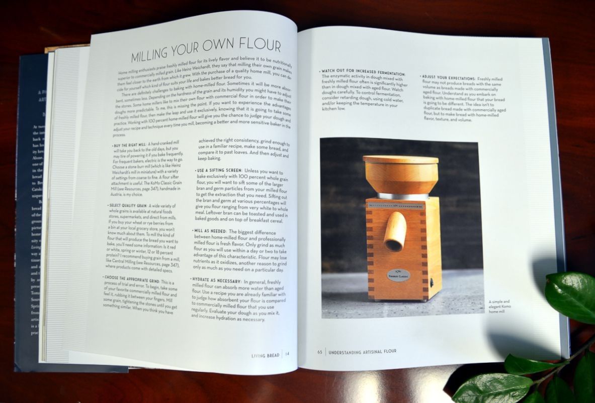 daniel leader bread alone book 1200