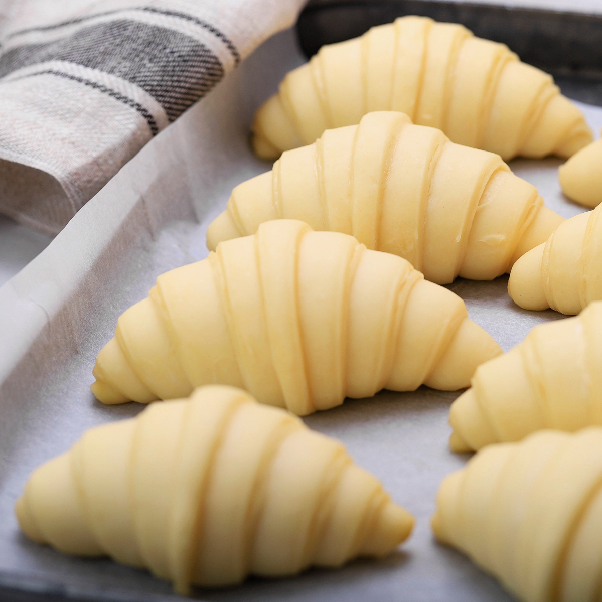 Croissants proofing