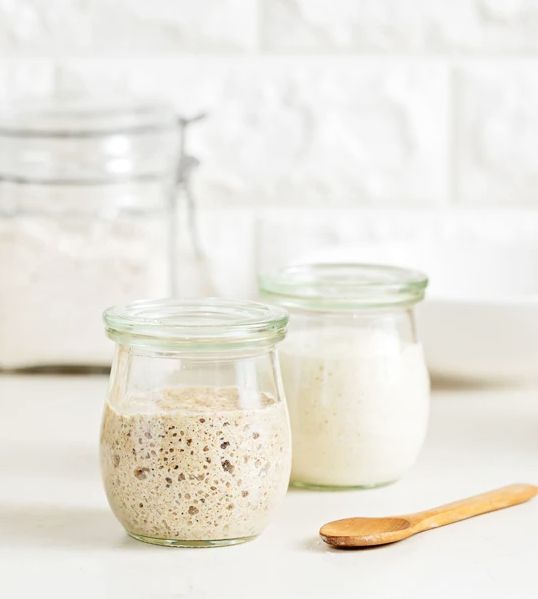 nutrimill sourdough starter culture prepared 538 1 1 1