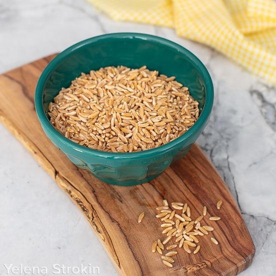 khorsan grain, bulk, organic