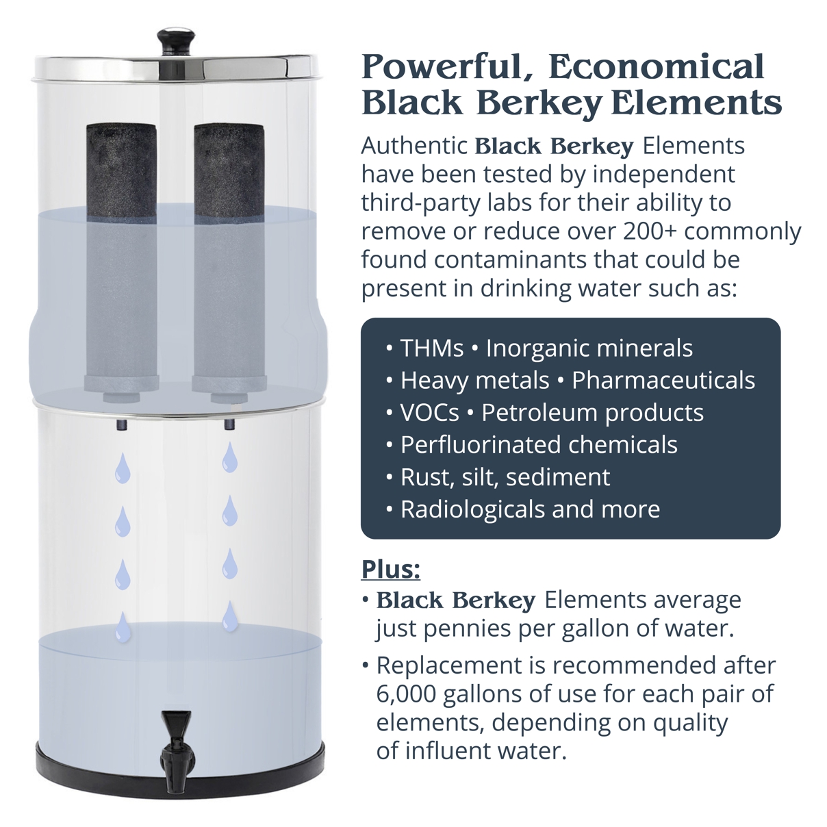 How Does the Berkey Water Filter Work: Ultimate Guide
