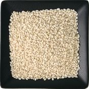 buy organic sesame seeds white bulk 175 1