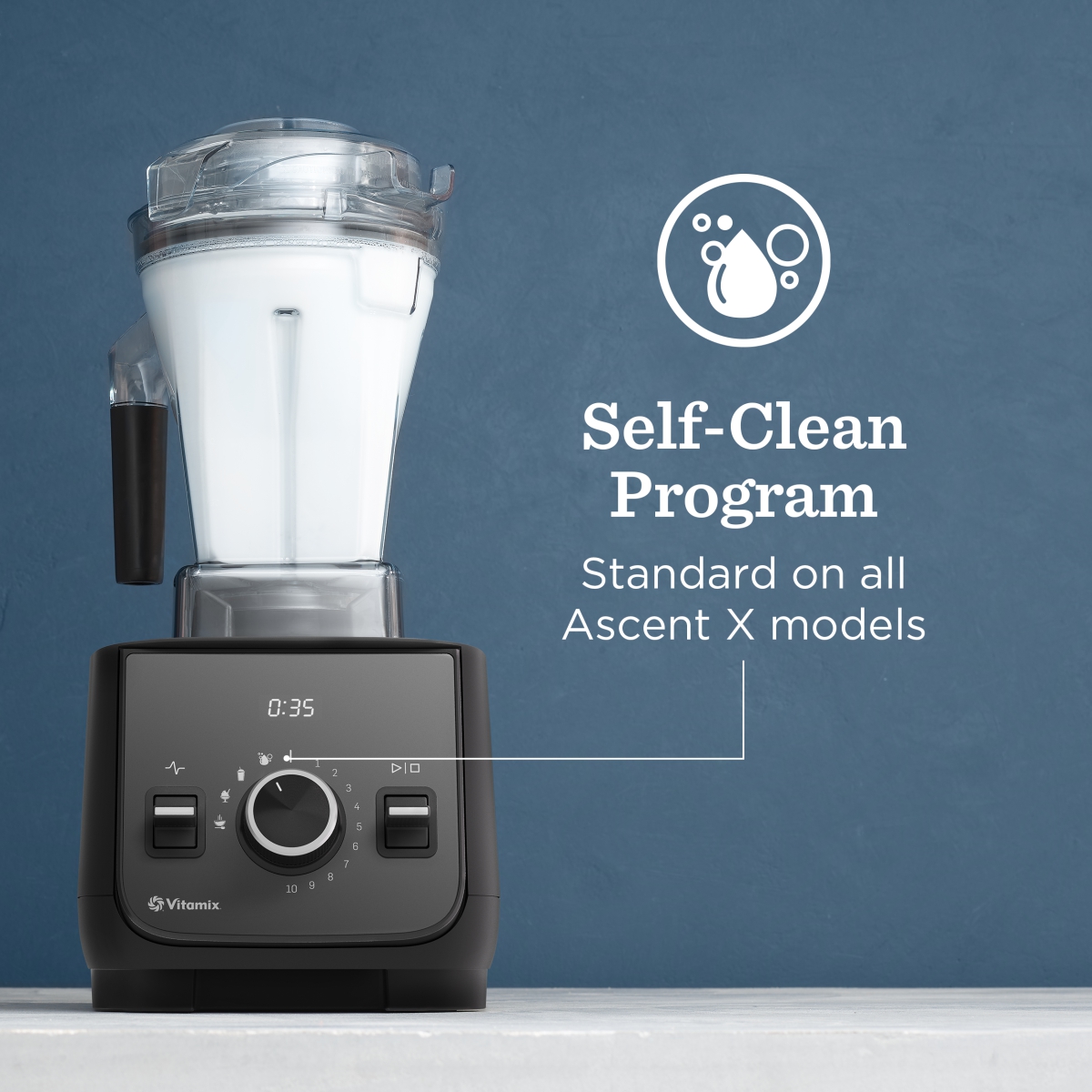vitamix self-clean program
