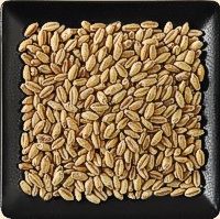 white wheat hard bulk grain 200 1 white wheat hard bulk grain 200 1
