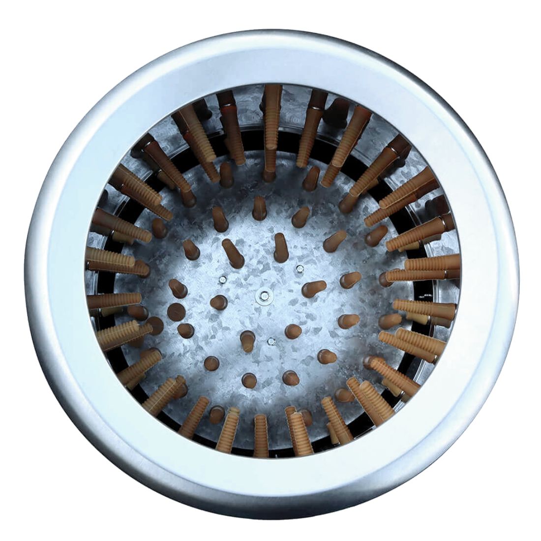 Roots & Branches Stainless Steel Chicken Plucker 