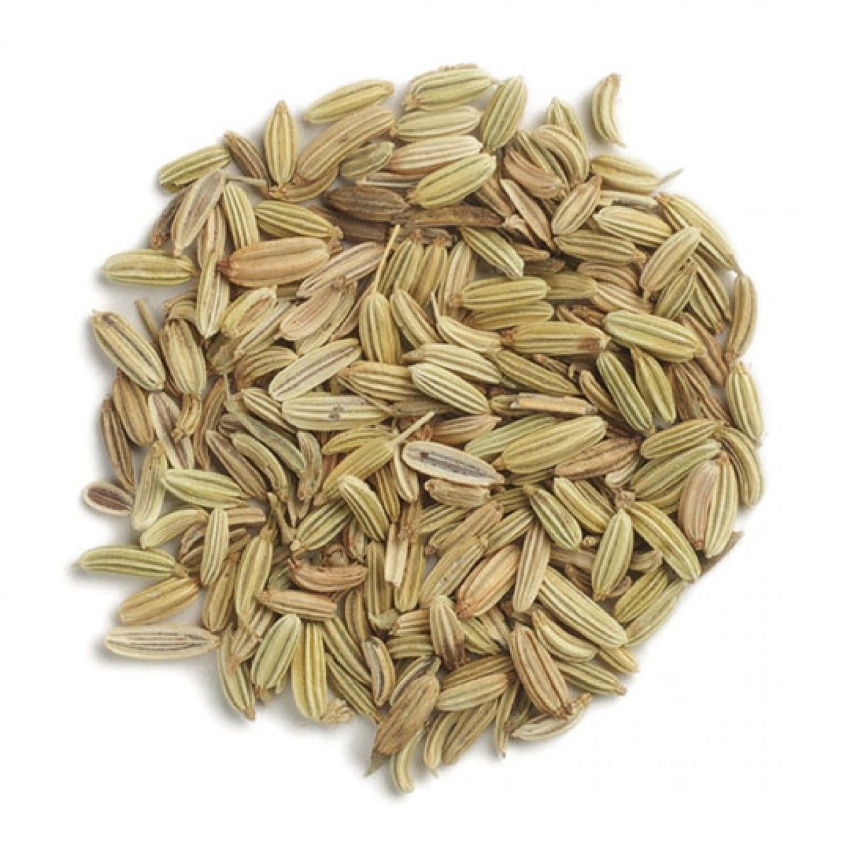 Frontier fennel seed