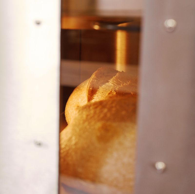 rackmaster rm24 bread rising throuogh window 1200