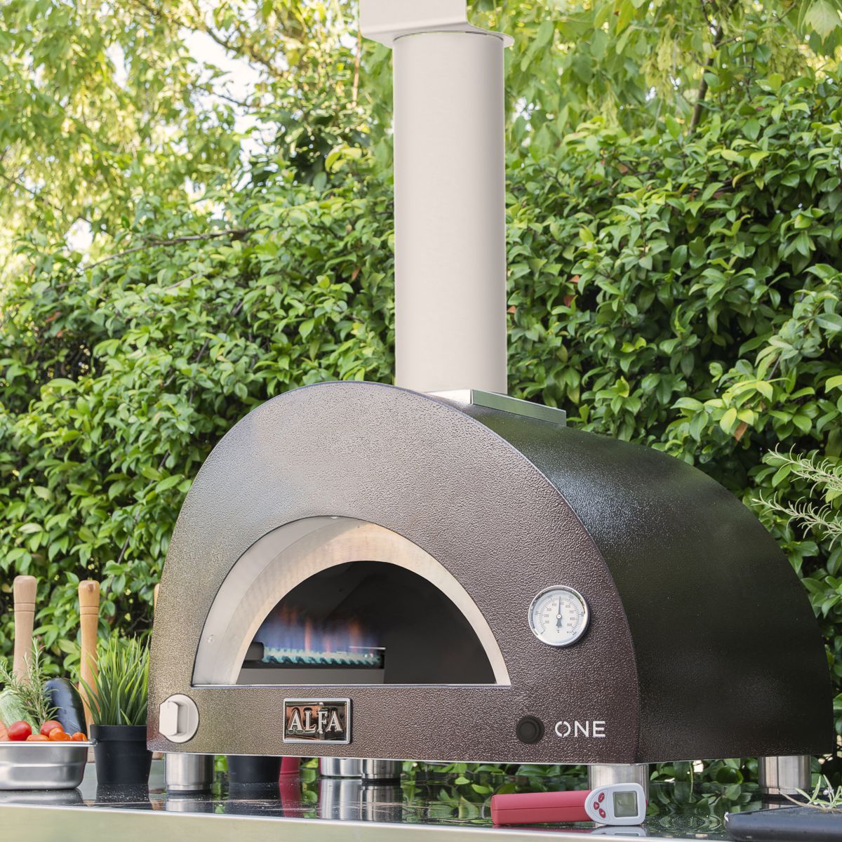 alfa ovens one model gas burning 1200