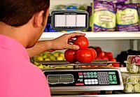 torrey pc40lt tomatoes 200