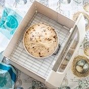 brod taylor bread dough proofer slow cooker 175