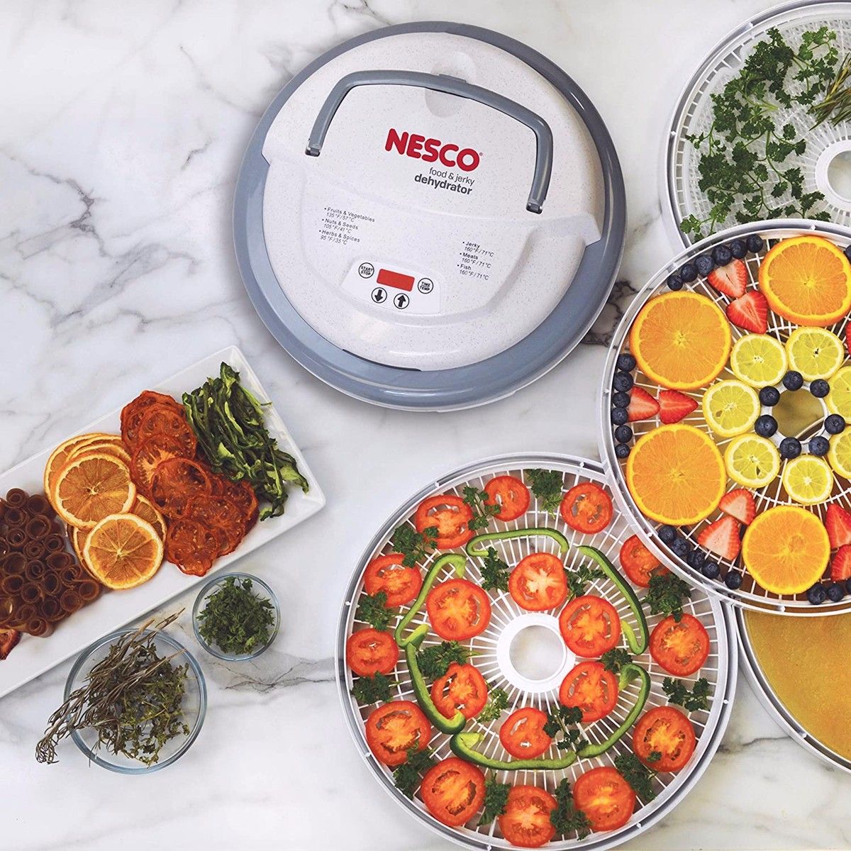 nesco fd 79 food jerky dehydrator 1200