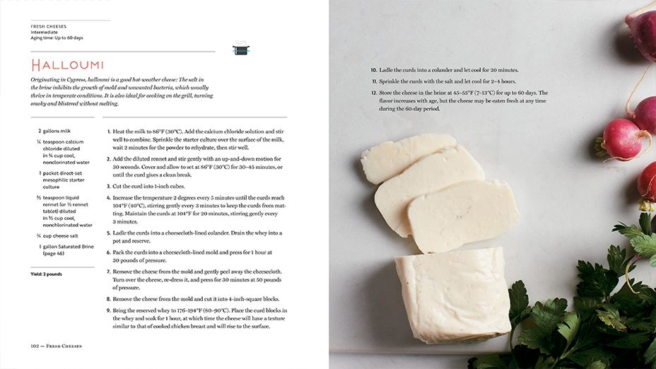 Halloumi cheese recipe