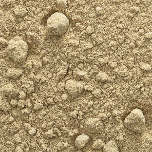 Burdock root, powder, organic, bulk