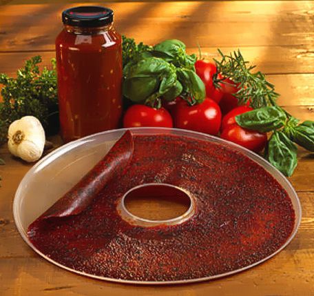 1 fruit leather/jerky sheet included
