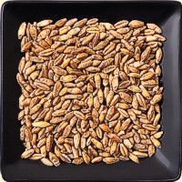 triticale 200 triticale 200