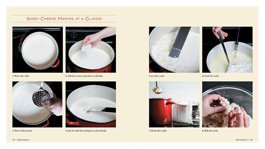 Hard Cheese Making at a Glance