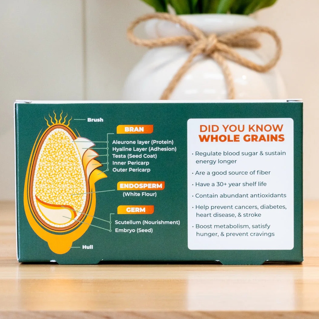 whole grains demo set shows diagram of a kernel of wheat