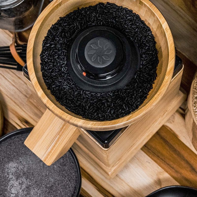 nutrimill harvest black trim grain grinder 800 1