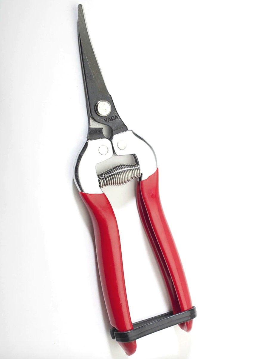 Vaca Grape Stem Clipper, 7 inch