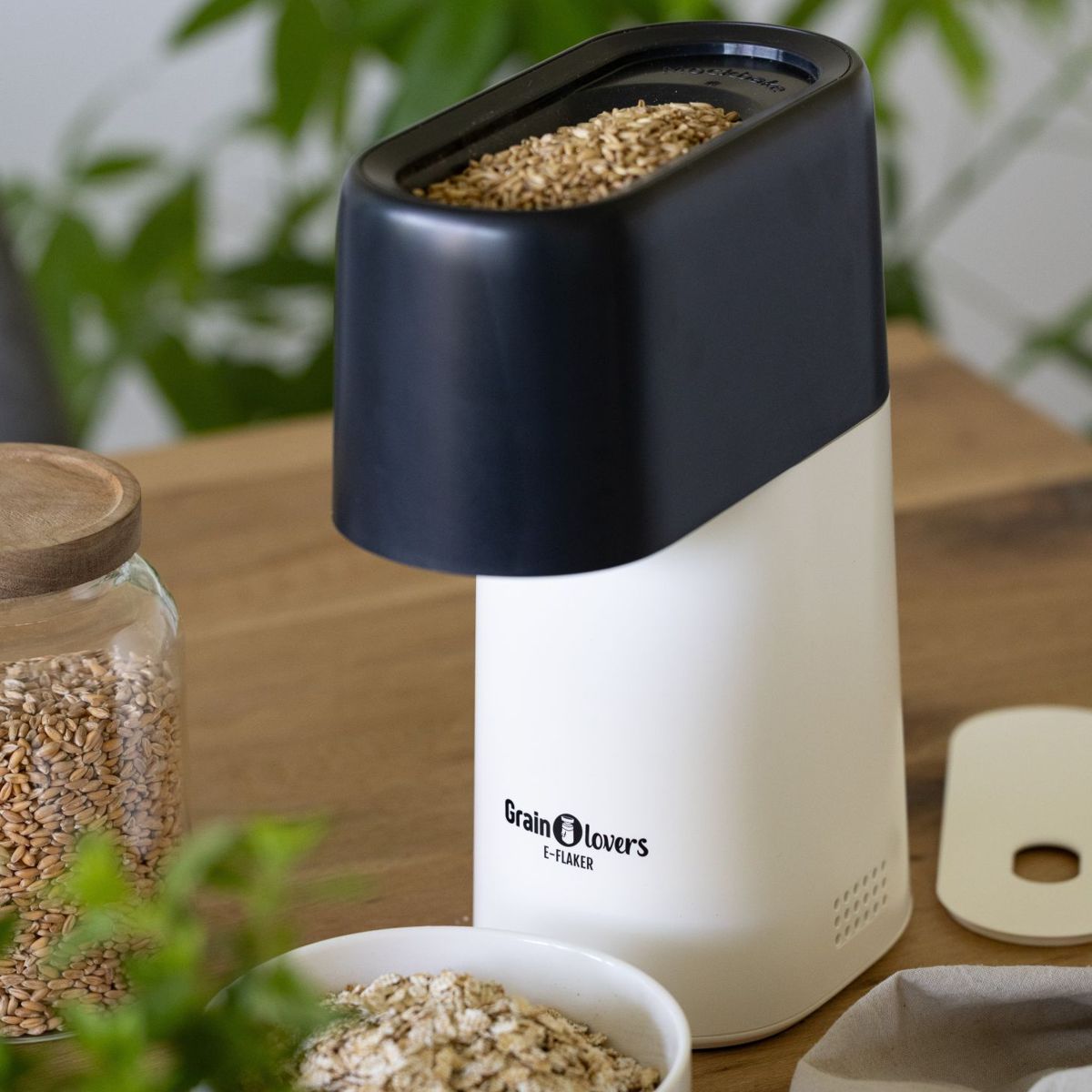 Electric oat flaker