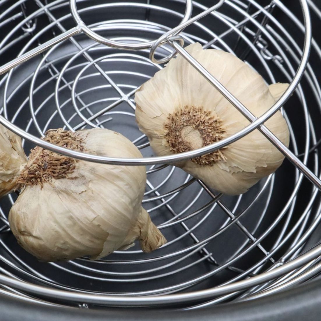 Roots & Branches Black Garlic Multi Purpose Fermenter Garlic ERBJM