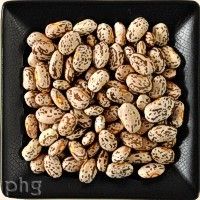 pinto beans 200op