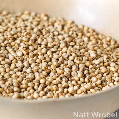 Organic white sorghum grain
