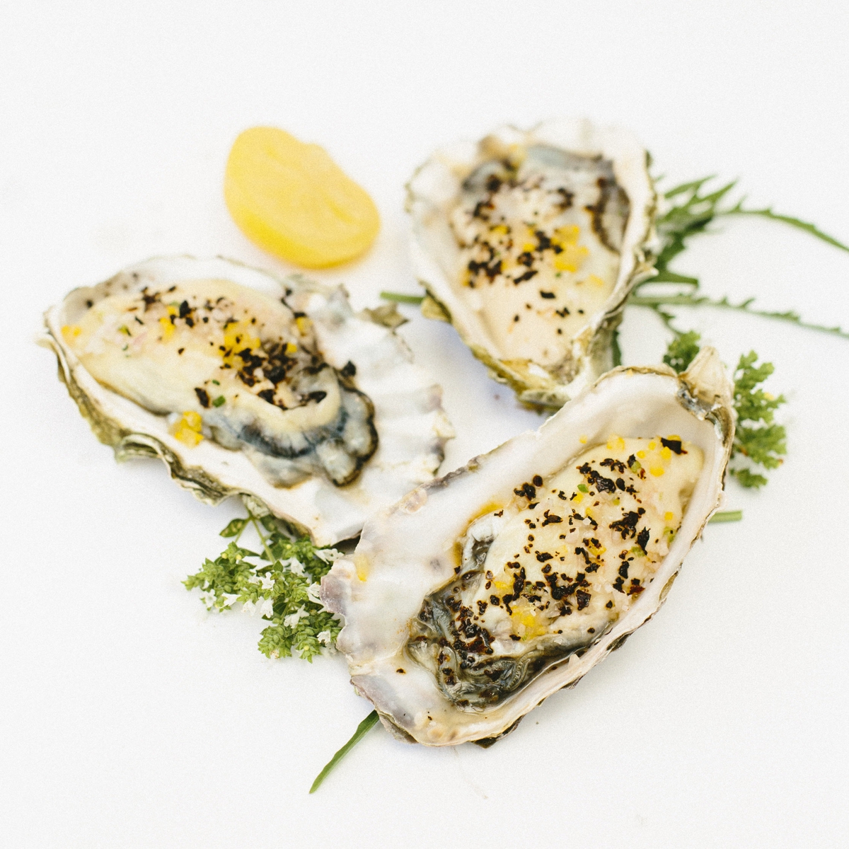 Oysters in shell seasoned with Urfa Biber