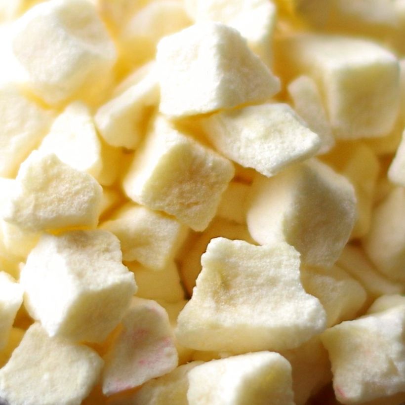 Freeze dried apples
