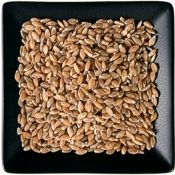 einkorn wheat berries organic bulk 175