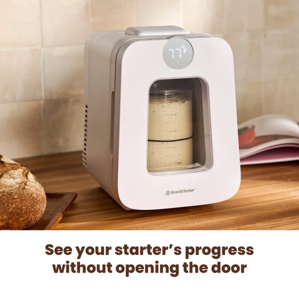 Large viewing window in Sourdough Home Plus