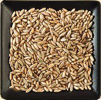 Rye, Organic, SuperPail