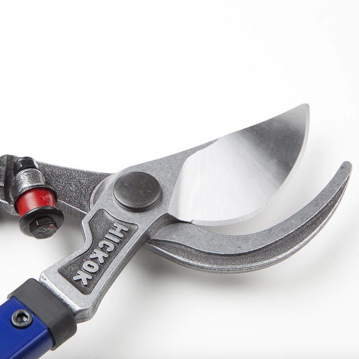 Cuts up to 2 inch branches