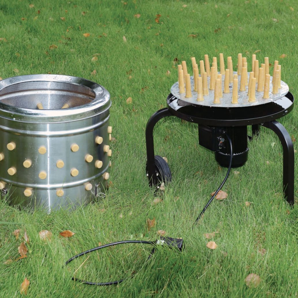 Roots & Branches Stainless Steel Chicken Plucker 1516