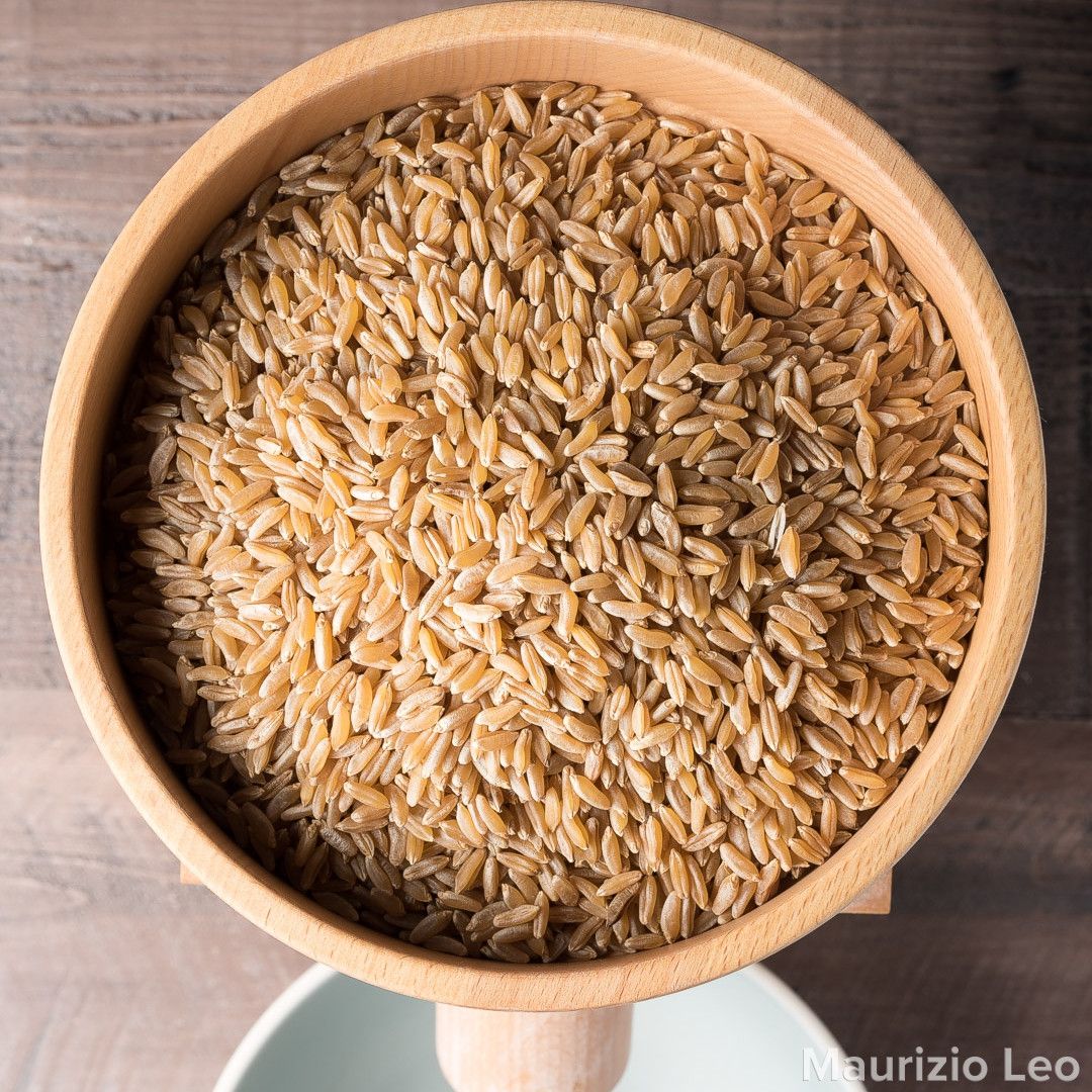Kamut in KoMo Classic grain mill grain hopper