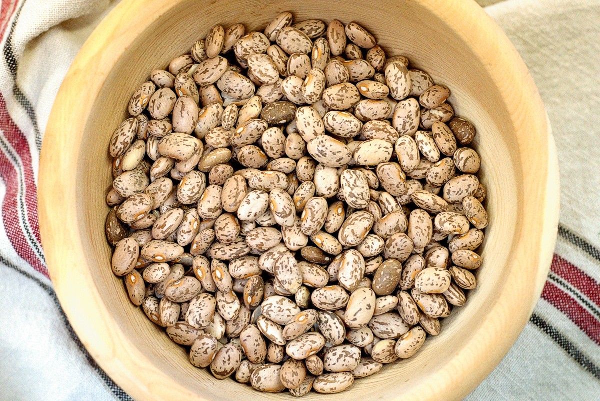 Organic Pinto Beans