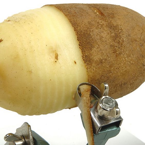 norpro apple mate 3 peel potatoes 565