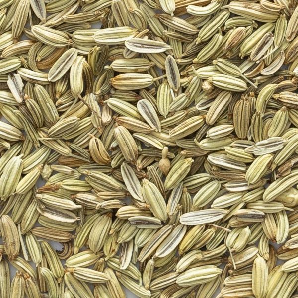 Fennel seed, whole, organic, bulk