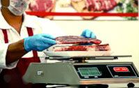 torrey pc40l meat 200