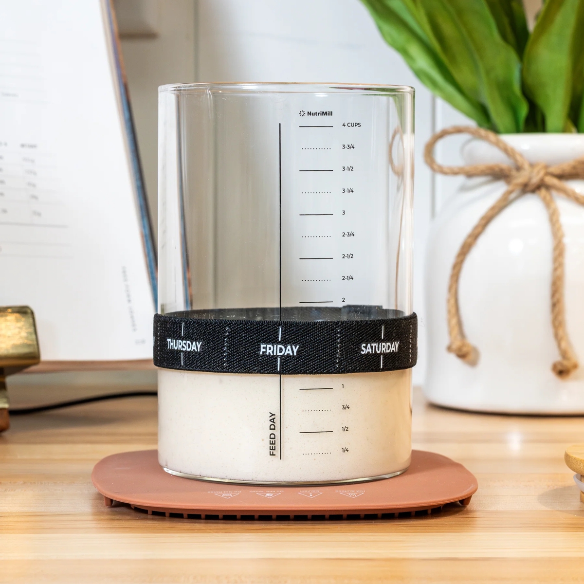 sourdough warmer shown with sourdough jar