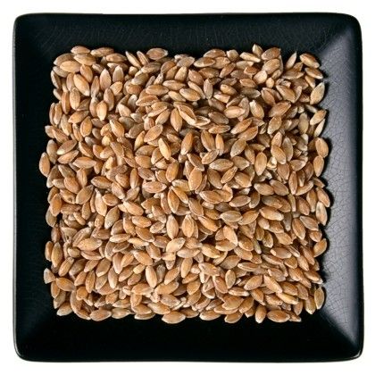Einkorn Organic